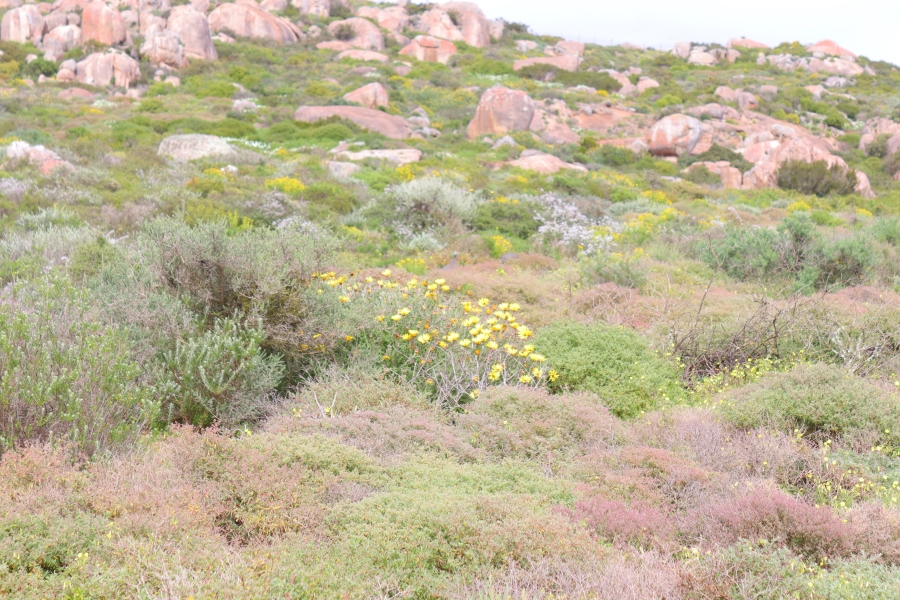 0 Bedroom Property for Sale in St Helena Views Western Cape